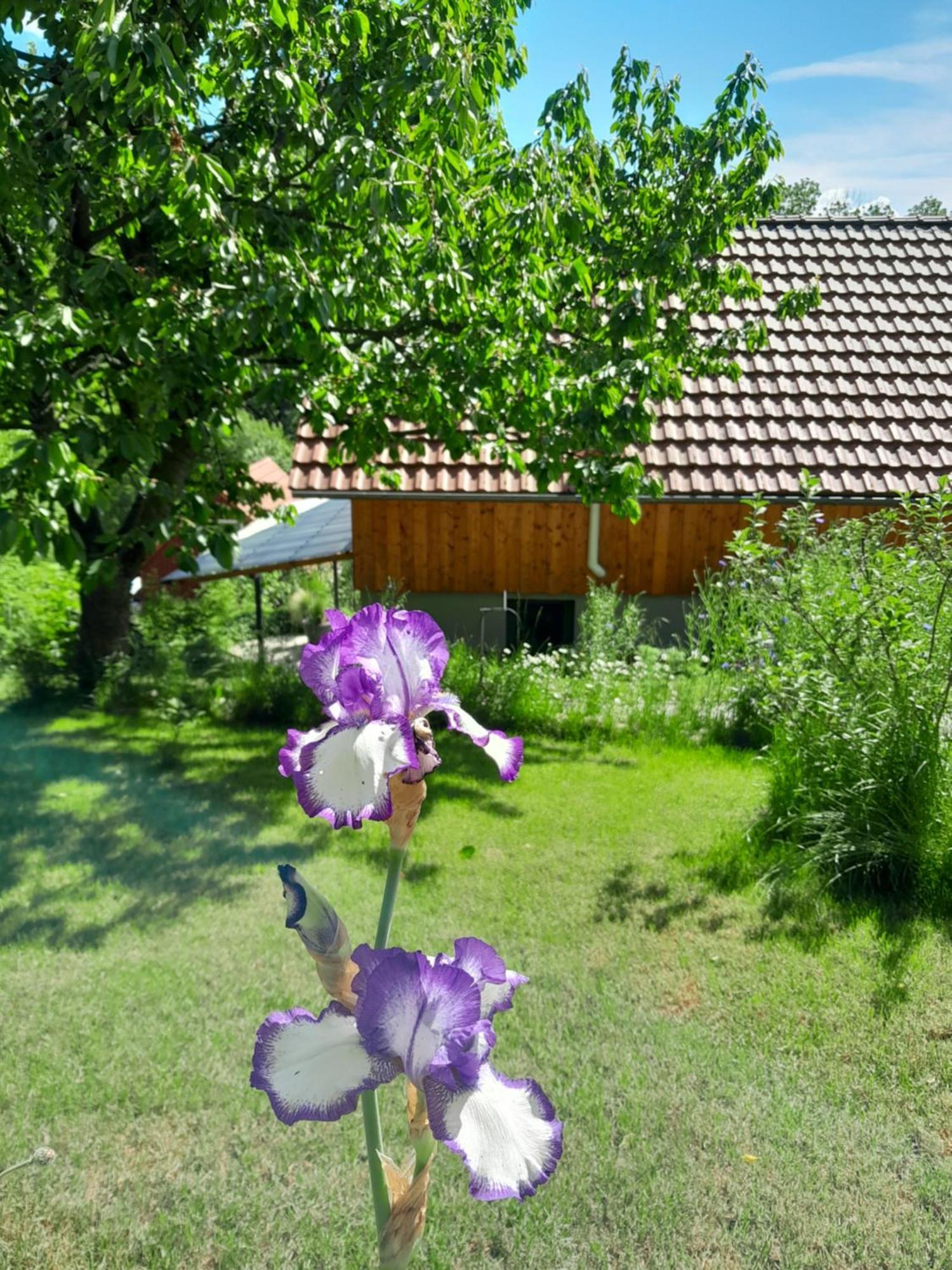 Charmantes Haus Im Gruenen Mit Terrasse Und Carport
